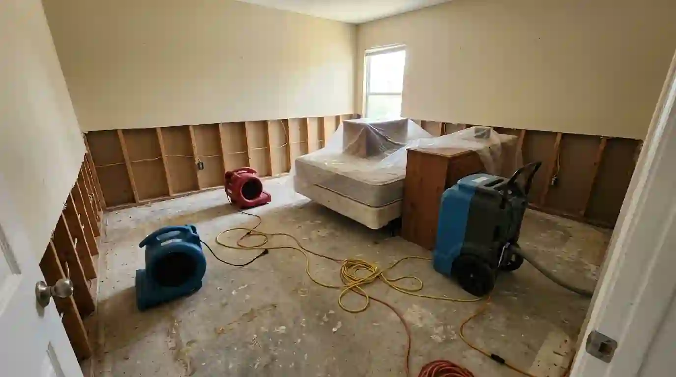 Flood cut with air movers and a dehumidifier drying the framing